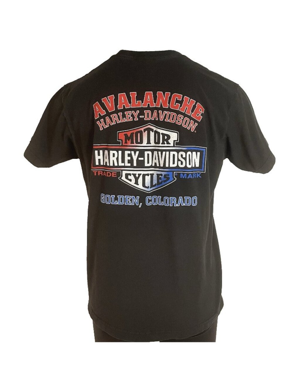 Harley-Davidson Avalanche Golden Colorado Eagle Graphic T-Shirt Men's Size LARGE